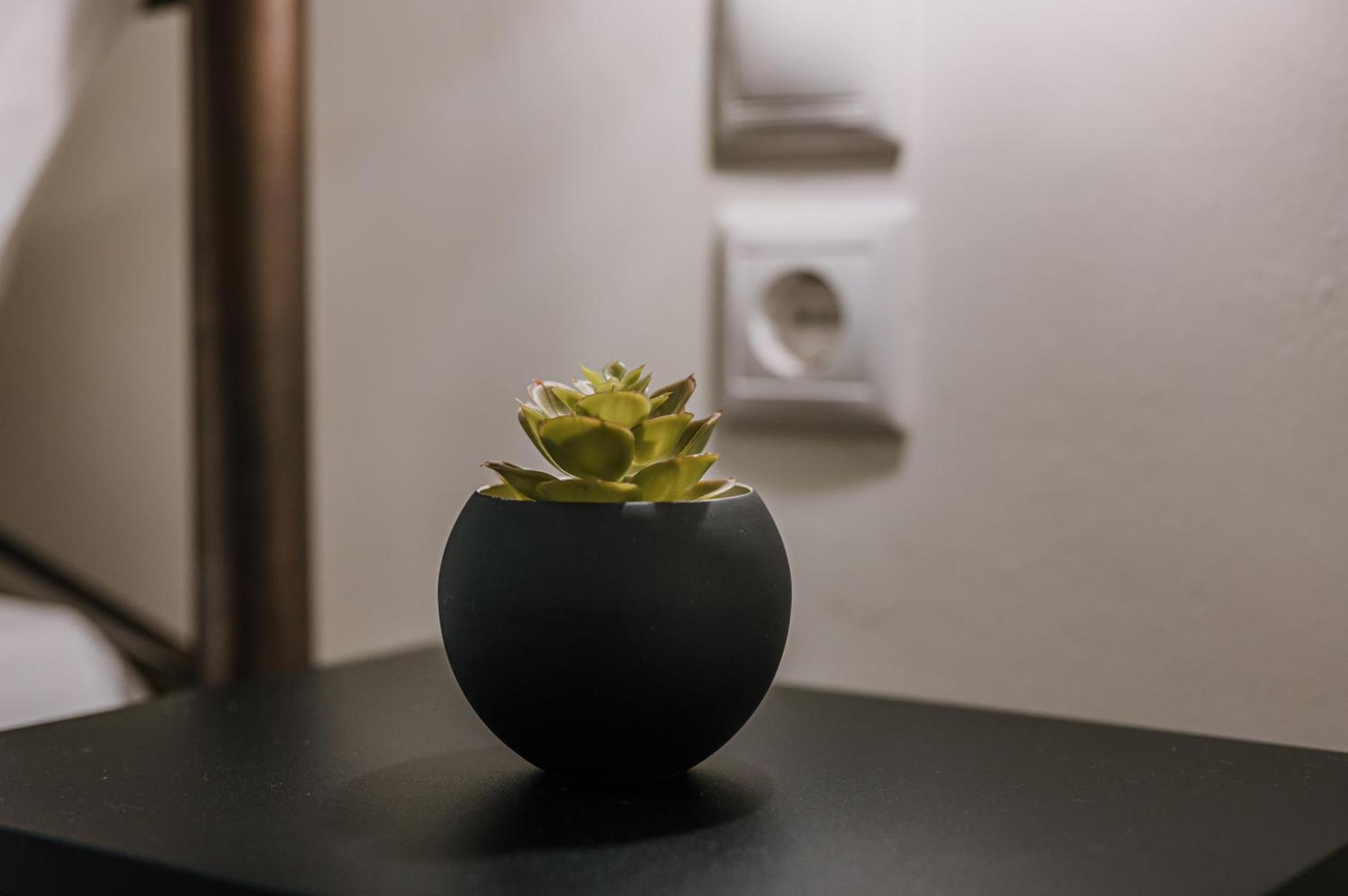 Hb Modern Apartments Tolo Phòng bức ảnh
